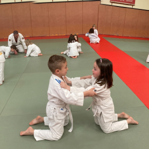 Judo 2026-2027 grand